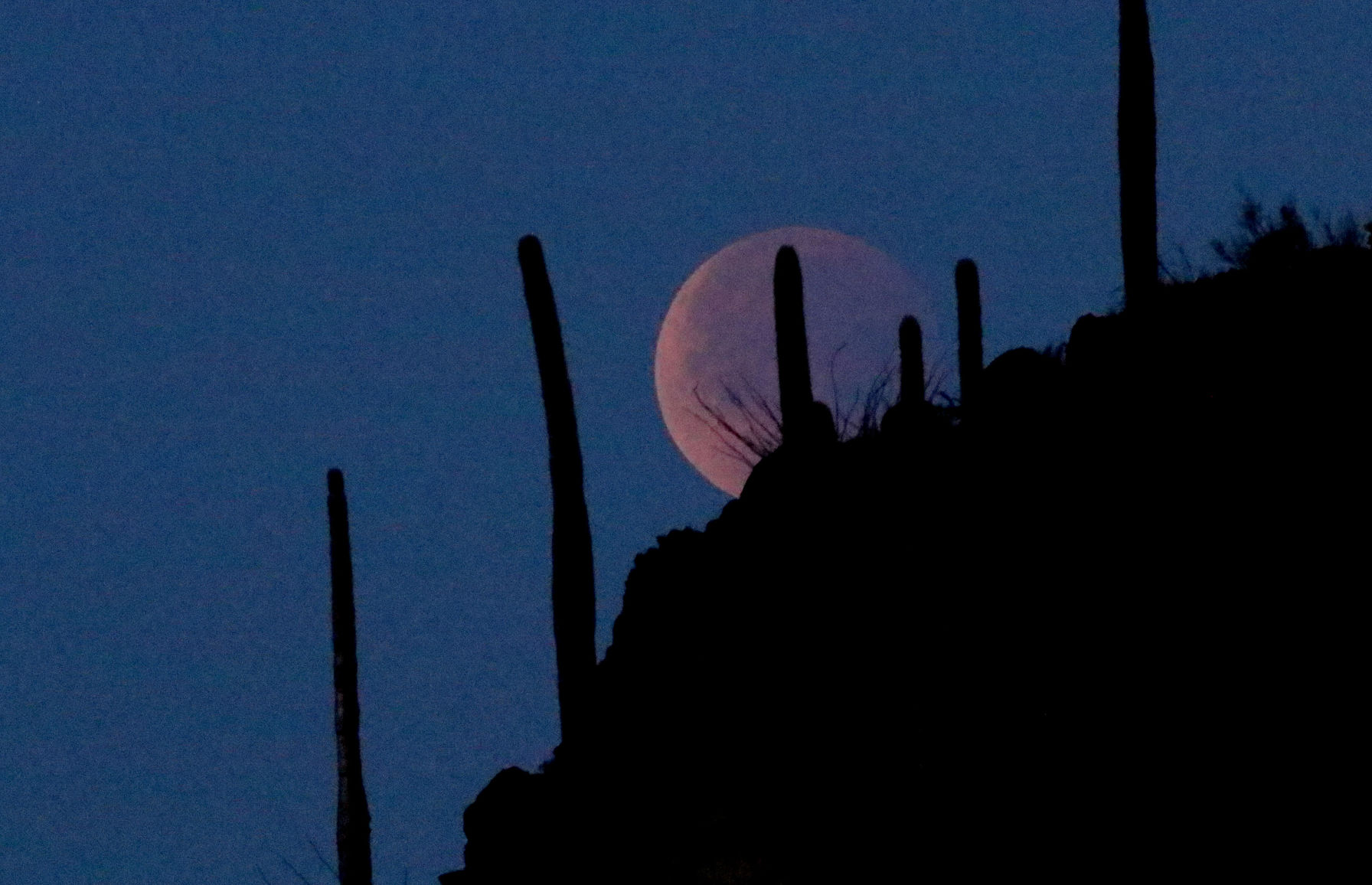 Tucson, Arizona